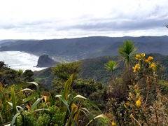 View looking down on Lions Rock and Piha Beach