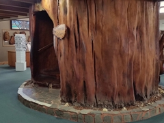 Wooden staircase carved inside this massive section of a 50 ton kauri log; Ancient Kauri Kingdom cafe in Awanui