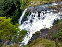 Upper portion of Whangarei Waterfall