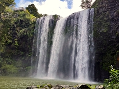 Whangarei Falls, a popular swimming hole in Northland