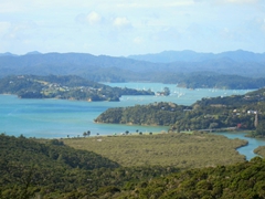 View of Paihia from the top of the school track