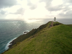 Hiking out to Cape Reinga, the meeting point between the Tasman Sea and the Pacific Ocean