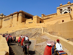 The first sight of UNESCO world heritage Amber (or Amer) Fort will take your breath away. Ambert Fort is Jaipur's most popular tourist drawcard