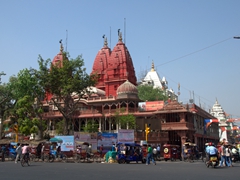 Delhi's most famous Jain temple, also serving as a bird hospital (Sri Digambar Jain Lal Mandir)