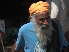 Portrait of a bearded Sikh man; Amritsar