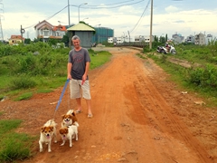 Walking dogs - our twice daily activity