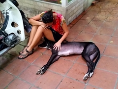 Becky comforts an abused greyhound; Animal Rescue and Care in District 2