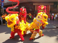 Lion dance during Tet 2017 celebrations