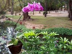 Orchids at Ho Tram Beach Boutique