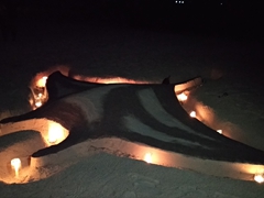 The MY Sheena crew spared no effort to set the mood with this carved manta ray; BBQ beach dinner at Fulidhoo Island