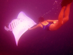 The mantas were in a playful mood so we got to snorkel with them for nearly an hour!