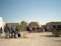 Parting view of our beehive village