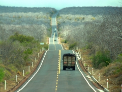 The hilly road leading to Puerto Ayora; Santa Cruz Island