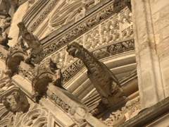 Gargoyle detail on the Cathedral of Saint-Etienne; Auxerre