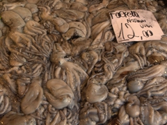 Octopi for sale; Rialto Market