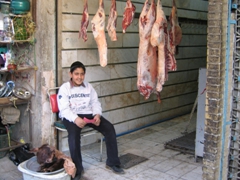 Freshly slaughtered lamb, Kerman