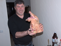 Aleko and the piglet