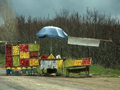Roadside fruit stand