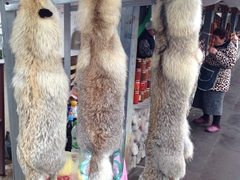 Poor foxes! Furs for sale near Garni Temple