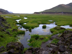 Hot springs surrounding Landmannalaugar