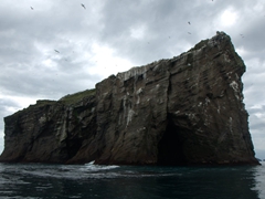 One of the many small islands of the Westman Islands. This one is completely inhabited by birds (puffins, auks, fulmars or seagulls)