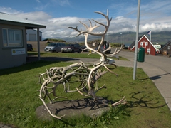 Reindeeer sculpture made of antlers; Djúpivogur