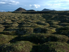 Moss covered volcanic mounds; Leirhnjukur Krafla lava field