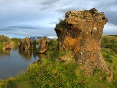 Lava pillar formations of Kálfaströnd