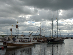 Reputed to be Europe's whale watching capital, Húsavík's harbor is full of boats