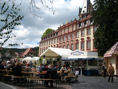 An impromptu Spring festival at Erbach'sschloss (Palace) was a great way for us to get acquainted with this fine city