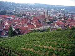 Esslingen is wine lovers country! It is surrounded by vineyards that envelop this 13th Century town