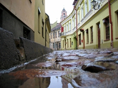 Cobblestoned streets of Vilnius after a downpour